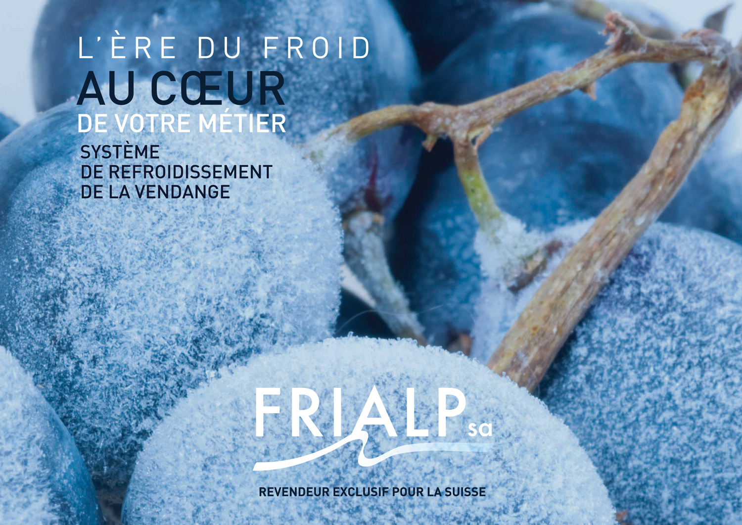 FRIALP REFROIDISSEMENT VENDANGE 1